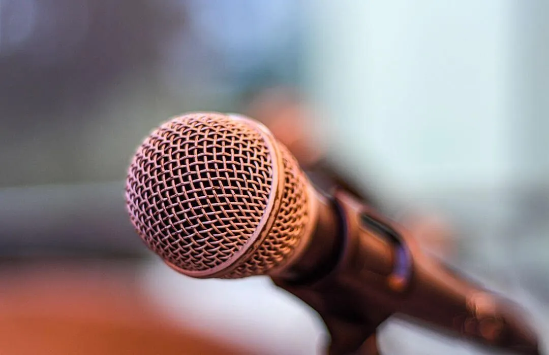 mic pic sample image