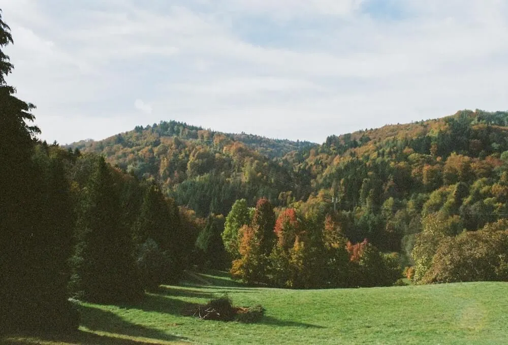 piece of land and woods 