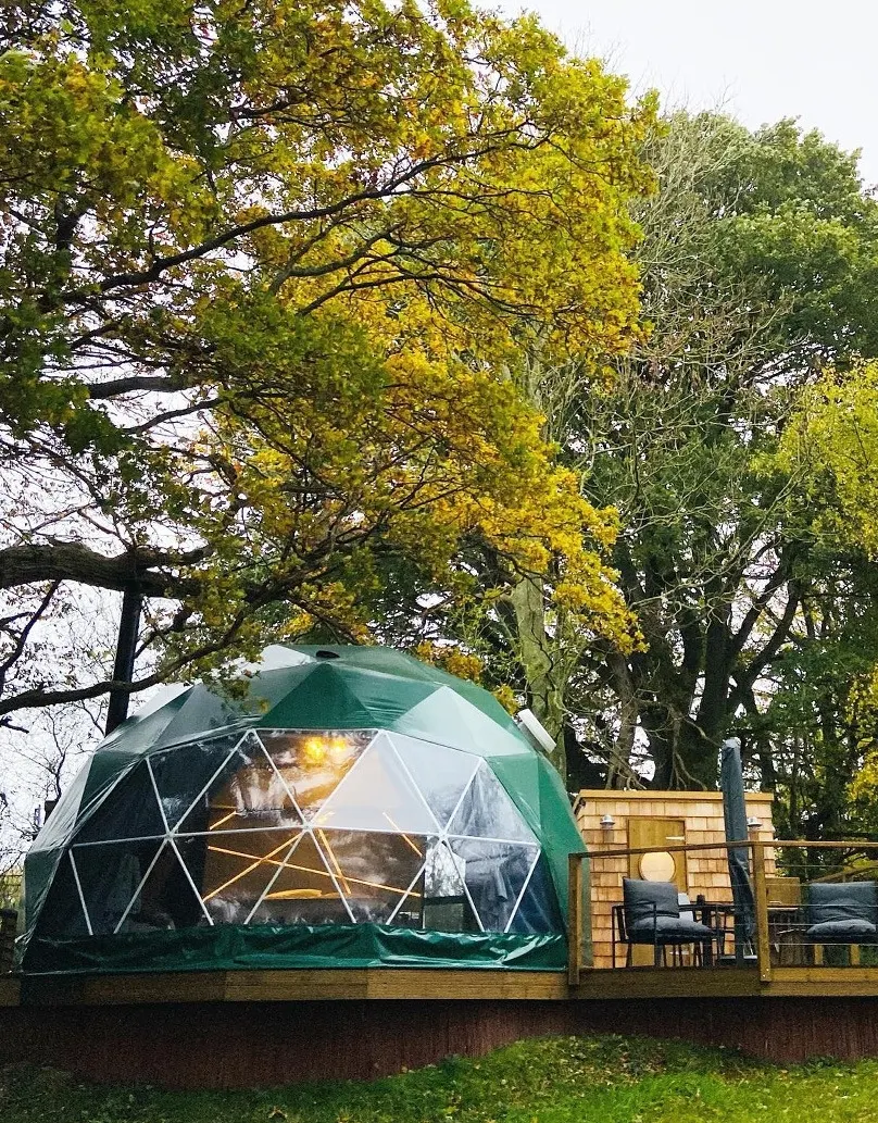 green geodesic dome in forest on wooden platform