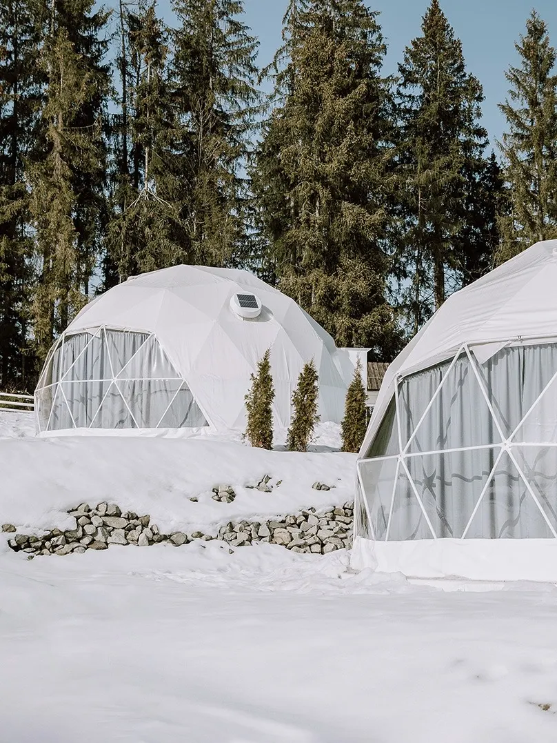 white geodesic domes in winter in forest