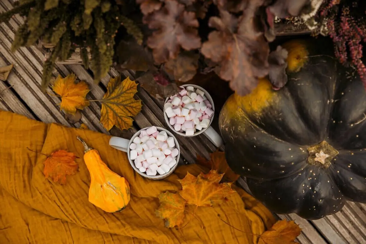 autumn decor fdomes