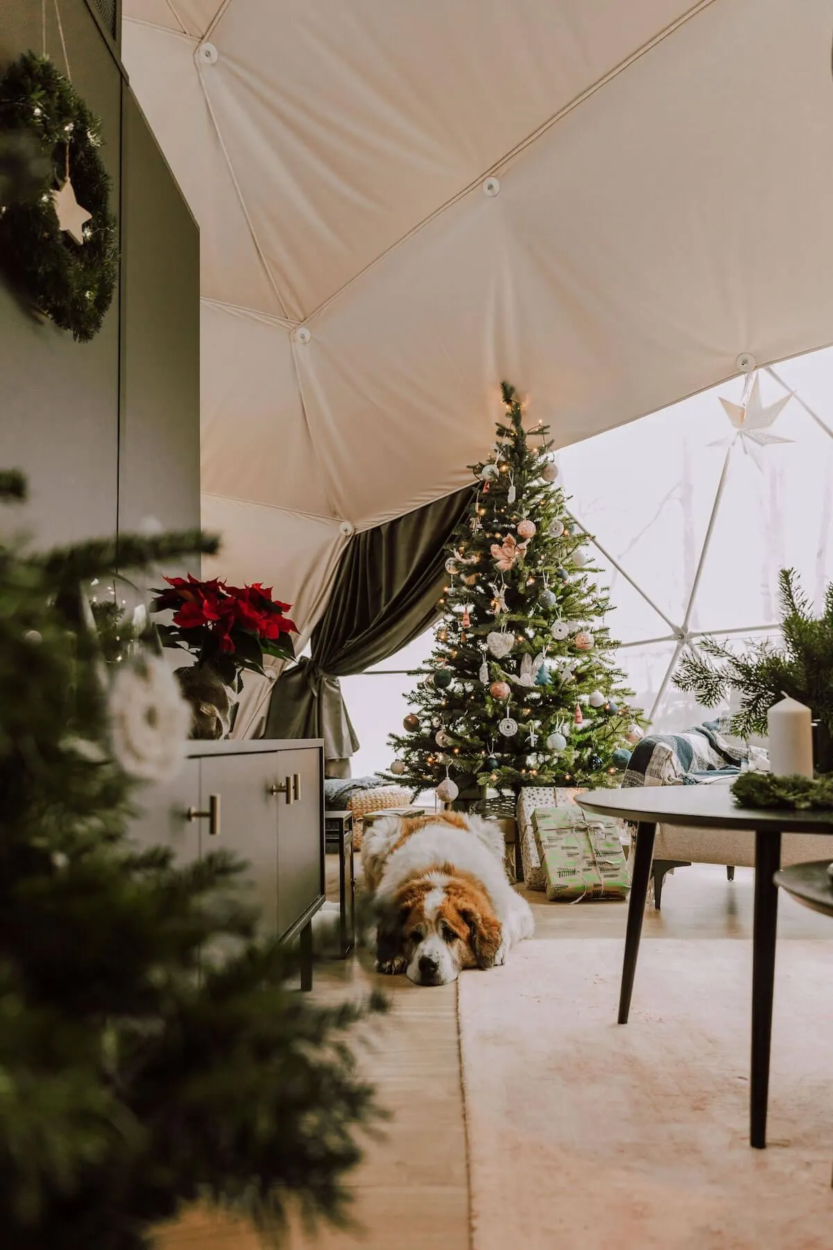 dog and Christmas tree glamping dome interior powered by fdomes