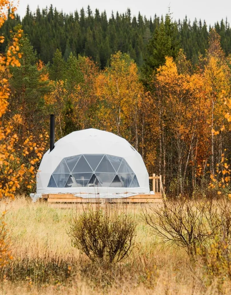 white geodesic domes with stack in forest in autumn