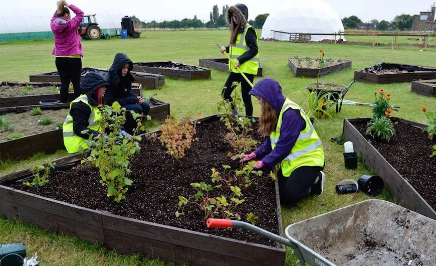 Bridge Community Farms gardening 