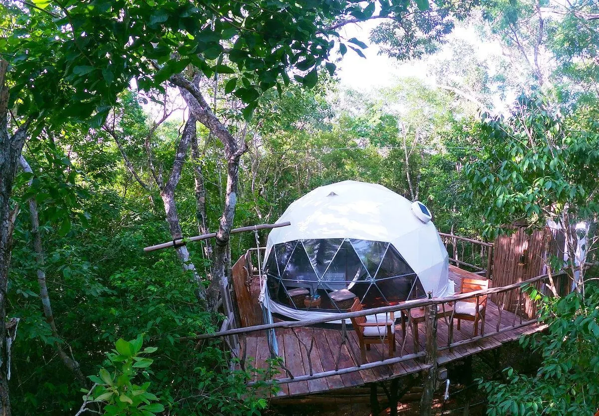 Zokalma powered by FDomes