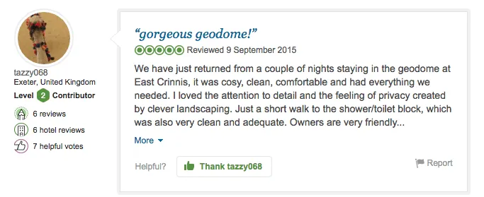 Client review from TripAdvisor East Crinnis FDomes