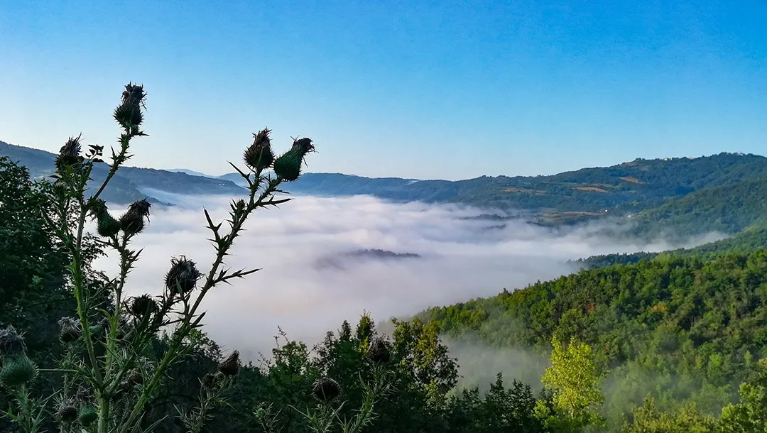 slow living movement glamping in nature mountain powered by FDomes