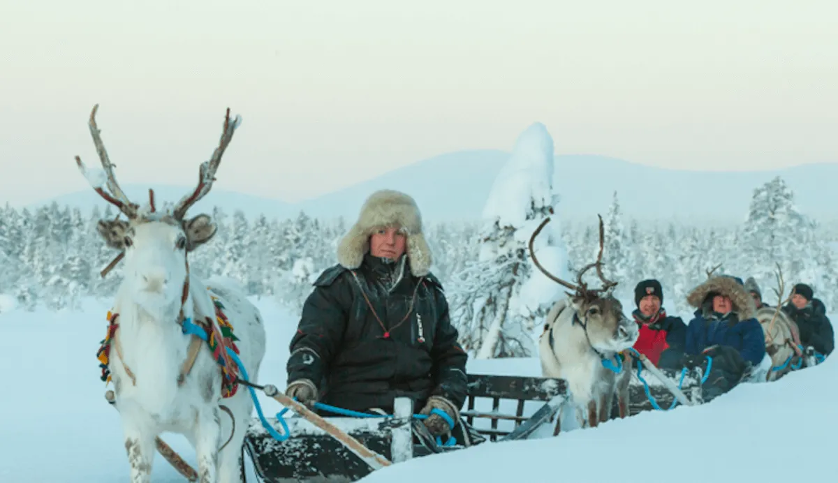 Raindeer Safari at Harriniva  